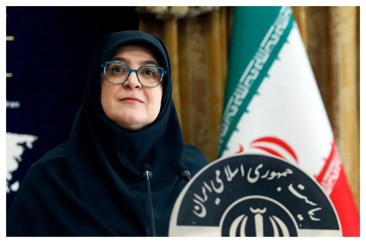 واکنش سخنگوی دولت به مصادره استعفای پاکنژاد
