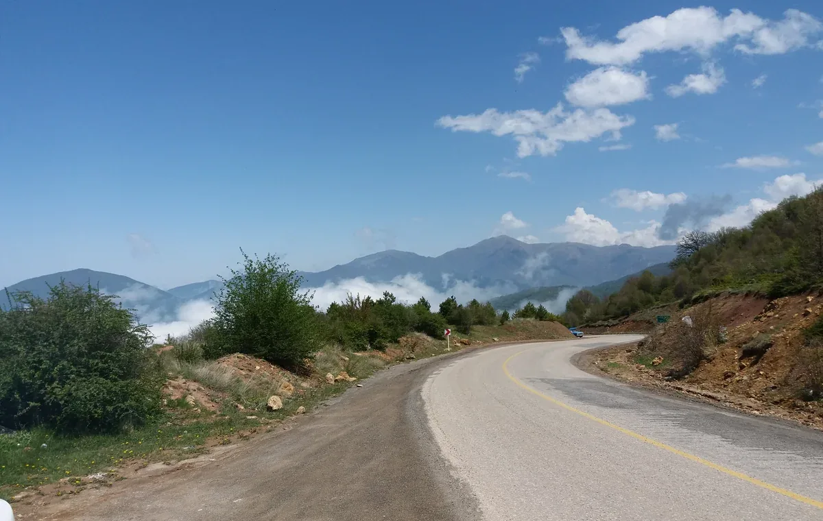 جنگل و جاده توسکستان