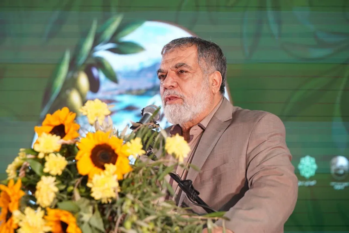 نماینده مجلس: فرآوری زیتون نباید به شکل سنتی باقی بماند
