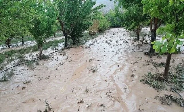 جزئیات خسارات سیل در ۵ استان/ ۷ فوتی و ۲ مفقود در سیلاب و رعد و برق