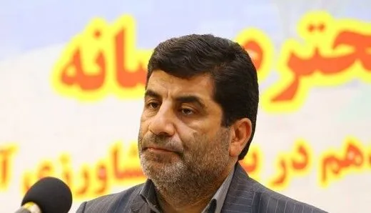 معاون برنامهریزی و اقتصادی وزارت جهاد کشاورزی: کالابرگ میتواند الگوی مصرف دهکهای پایین را تغییر دهد