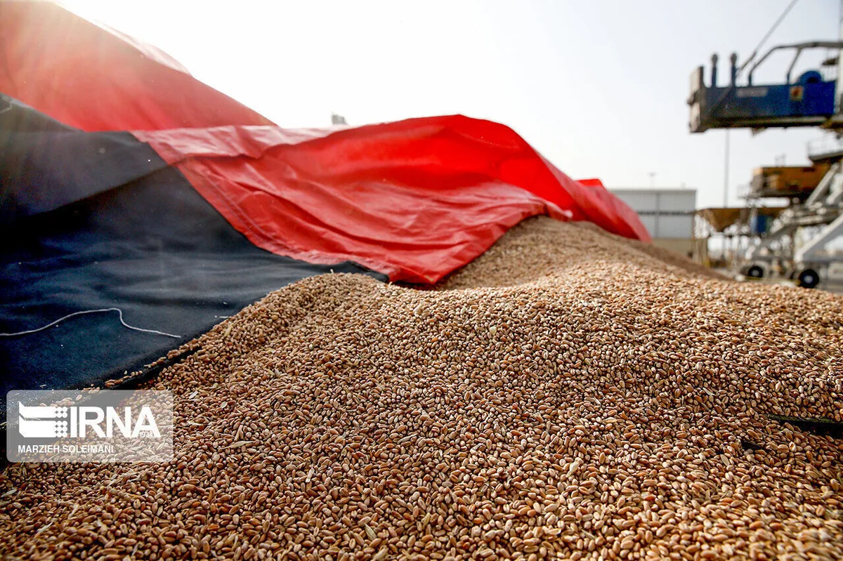 ضبط ۷۸ تُن نهاده کشاورزی قاچاق در شوشتر
