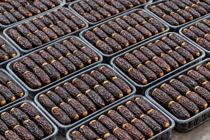 خرما؛ سرمایه اقتصادی و مزیت راهبردی هرمزگان