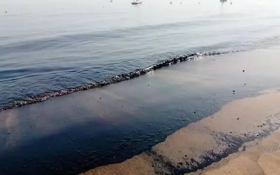 تصاویر منتشر شده از سواحل امارات، رسیدن لکهای از نفت خام به این سواحل را نشان میدهد