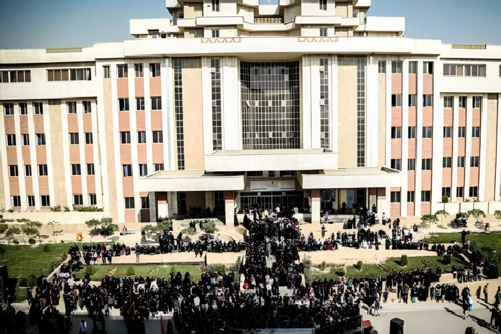 دانشگاه