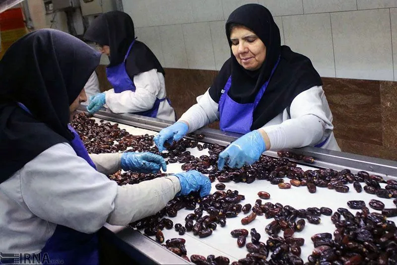 خرما؛ سرمایه اقتصادی و مزیت راهبردی هرمزگان