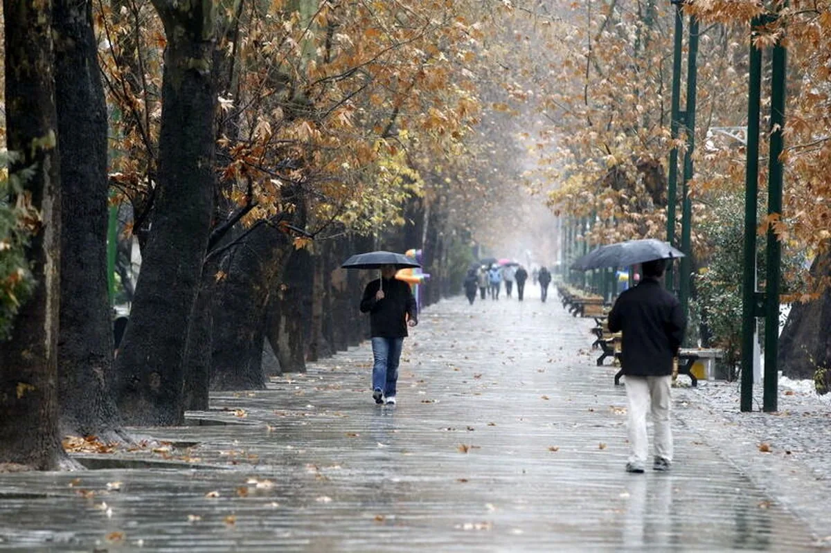 هشدار نارنجی بارشهای شدید در ۴ استان / خلیج فارس و دریای خزر مواج میشوند