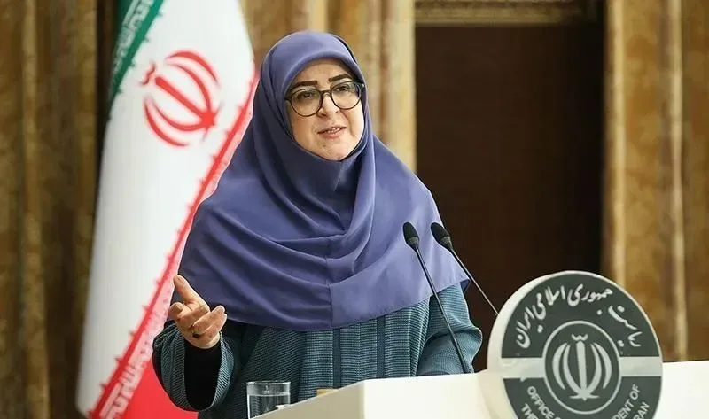 سخنگوی دولت: اعمال دور کاری کارمندان دولت، با هدف مدیریت انرژی صورت گرفته