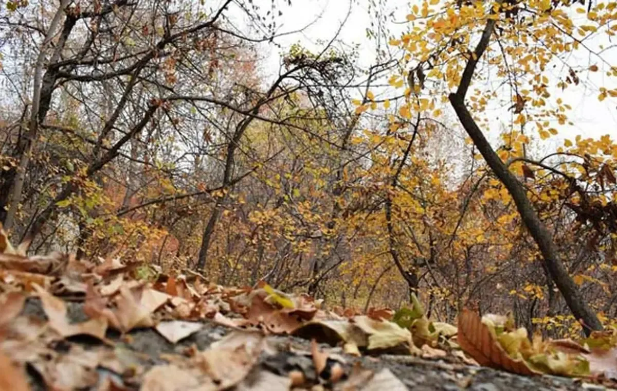 روستای ابرده و آرامگاه شیخ حافظ ابردهی