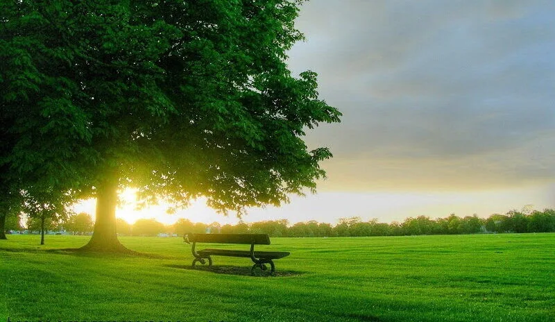 چرا با وجود امکانات رفاهی، هنوز آرامش نداریم؟