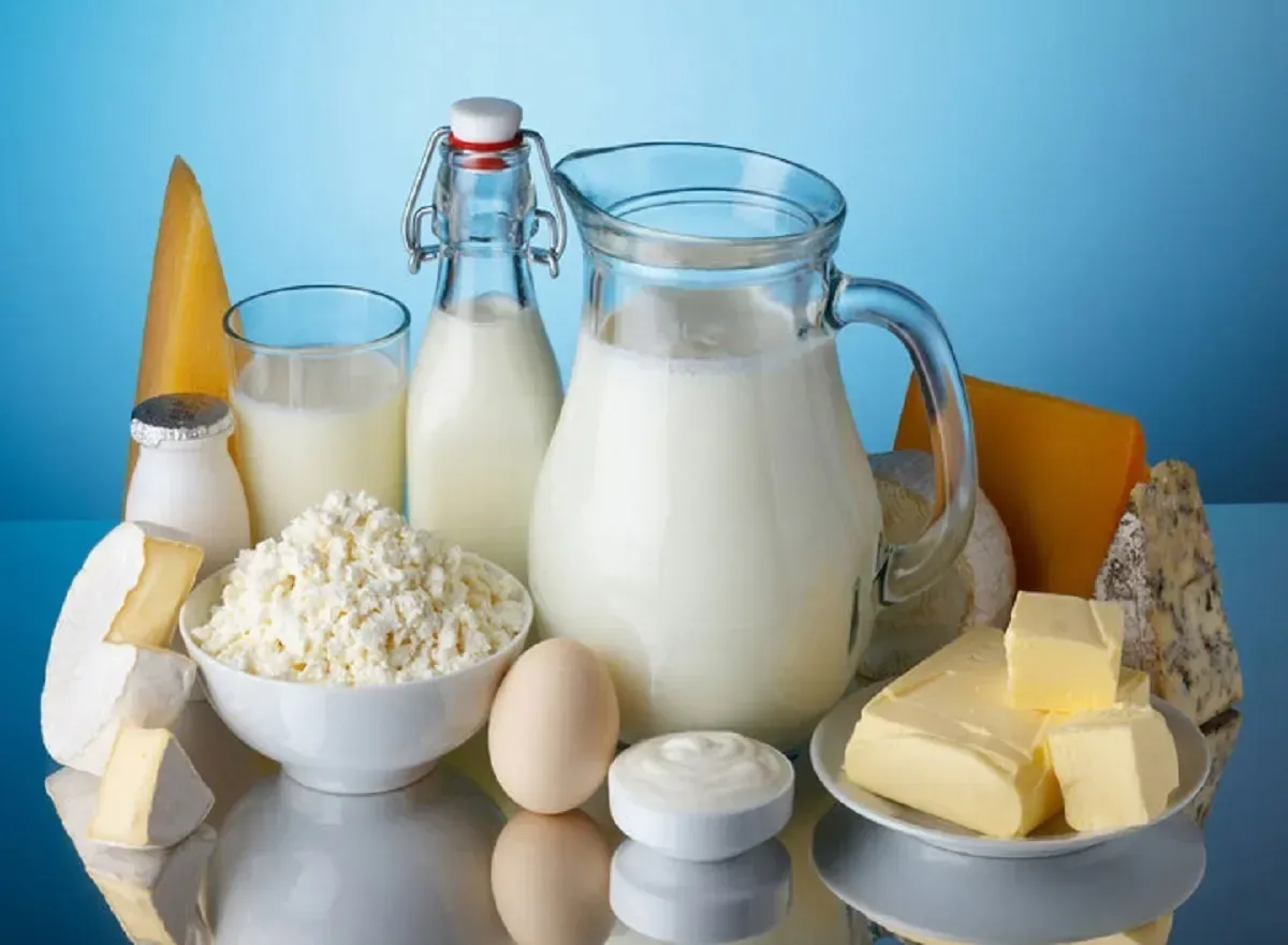 بازار لبنیات در آستانه شوک بزرگ / قیمت جدید شیر چه زمانی اعلام میشود؟