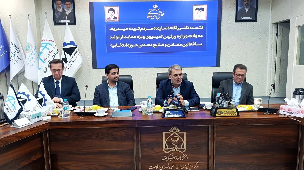 زنگنه: بروکراسی اداری مانع توسعه معادن تربتحیدریه است