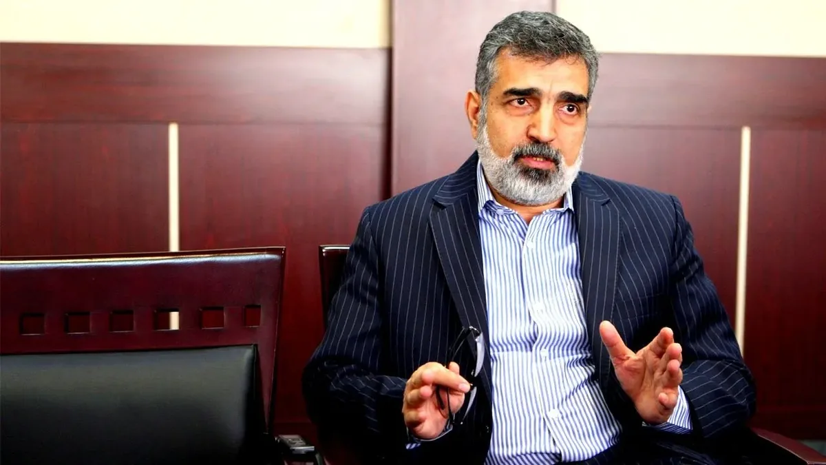 اظهارات معنادار کمالوندی درباره مذاکره/ اولویت ایران مشخص شد