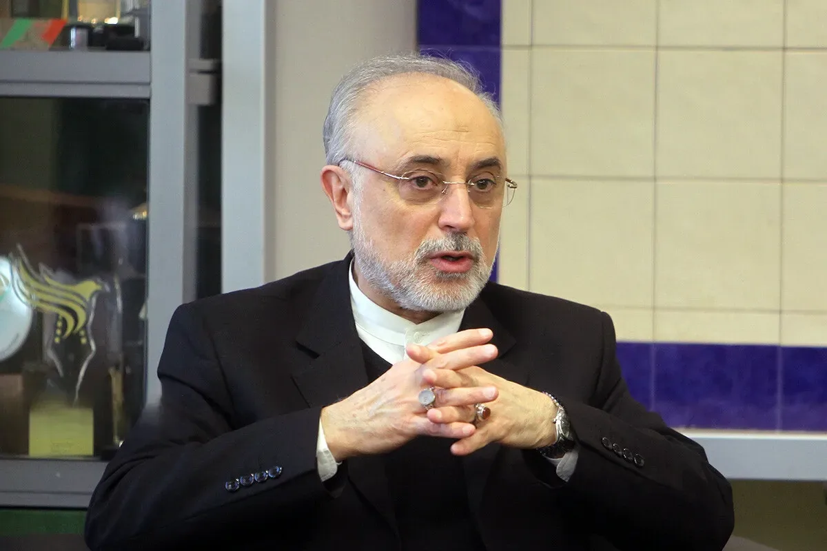 علیاکبر صالحی: از مسیر صلح حدیبیه می توان به فتح مکه رسید / صلحطلبی به معنای سادهانگاری و غفلت نیست / در بسیاری از موقعیتها، رسیدن به نتیجه مطلوب تنها از مسیر رویارویی مستقیم نمیگذرد / ناتوانی در مدیریت سوءتفاهمها میتواند پیامدهایی گسترده به دنبال داشته باشد