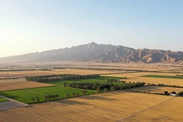 شناسایی ۸ مورد تخریب اراضی ملی و کشف ۲ تن چوب قاچاق در قروه