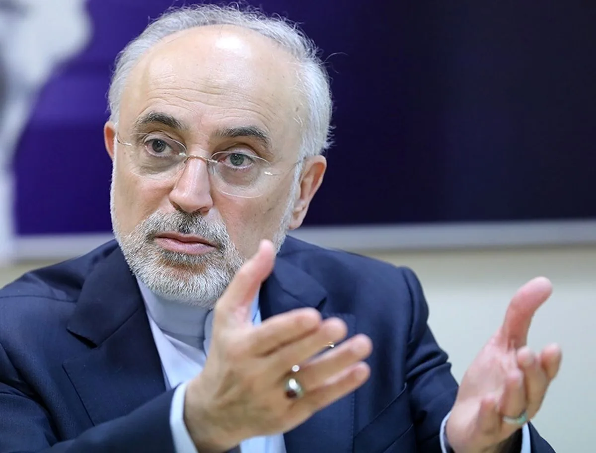 صالحی: بعید میدانم جنگ سومی آغاز شود