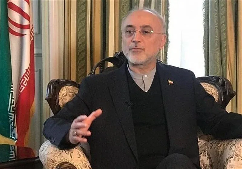 صالحی و سفرای عربی درباره پیامدهای بحرانهای منطقهای رایزنی کردند