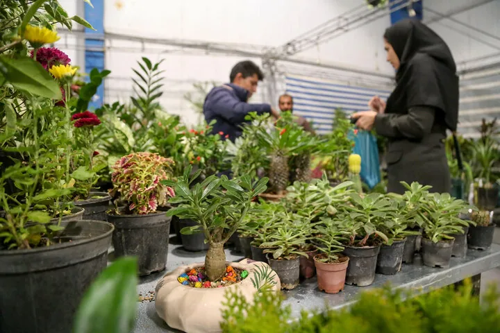 گره‌های پیش روی نمایشگاه بین‌المللی خراسان شمالی