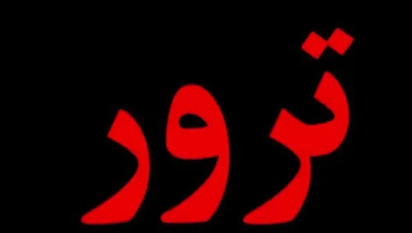 وقتی خیابان جای دادگاه را میگیرد / هشدار درباره گسترش خشونت سیاسی