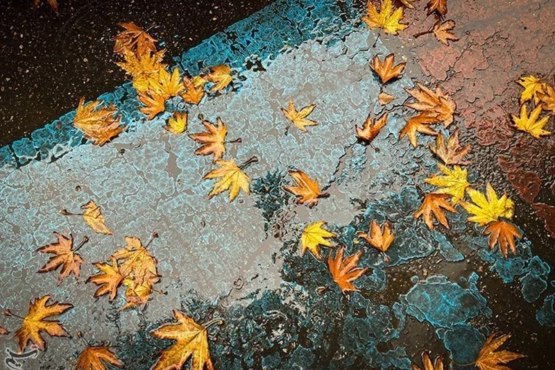 اخبار استان لرستان , استان لرستان , نظام مسائل استان لرستان , نظام مسائل استان ,