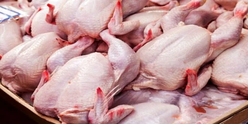خرید مرغ مازاد مرغداران با قیمت ۳۶۹ هزار تومان تصویب شد