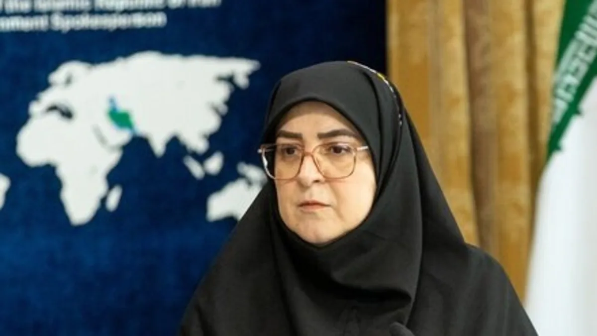 سخنگوی دولت: بابت افزایش قیمت تعرفه اینترنت عذرخواهی نمیکنم؛ بابت عدم اطلاعرسانی عذرخواهی میکنم