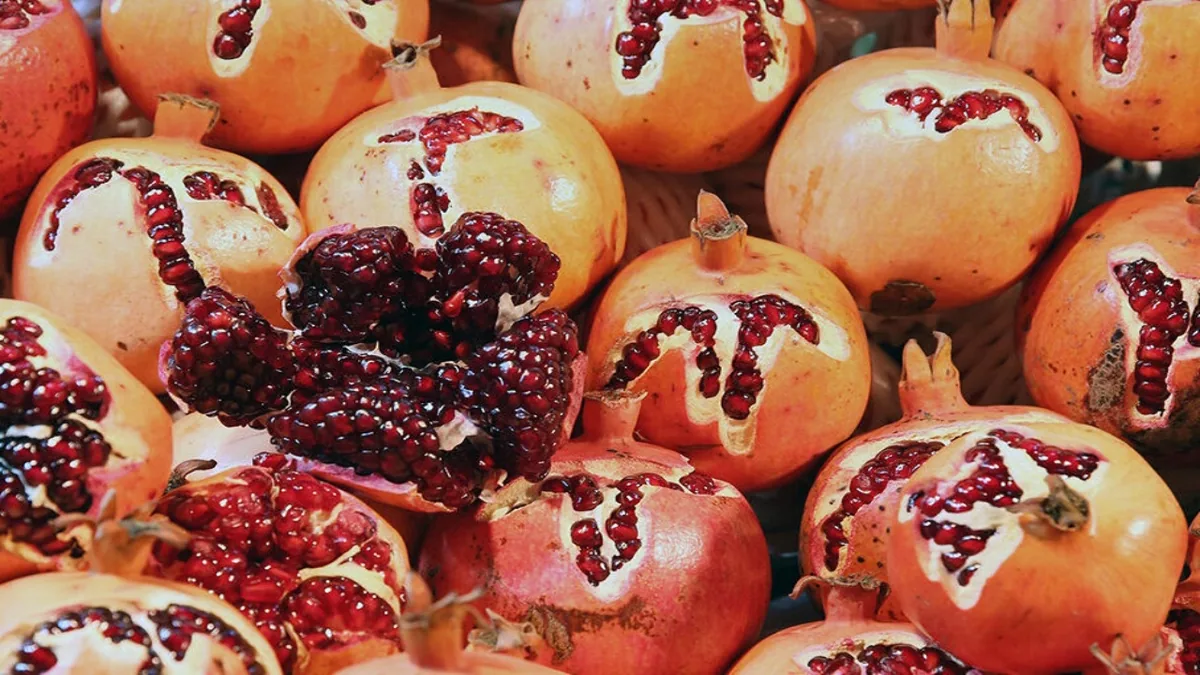 برگزاری دومین جشنواره انار در روستای جوشقان در قاب دوربین شهروندخبرنگار