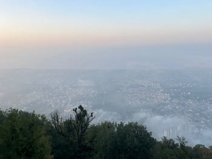 دود قاچاق چوب بر چشم هیرکانی