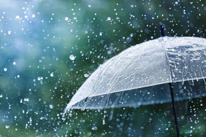 بارش باران برای کهگیلویه و بویراحمد پیشبینی شد