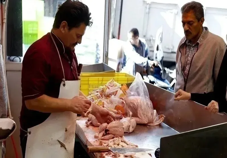قیمت مرغ امروز شنبه ۱۸ مهر ۱۴۰۵