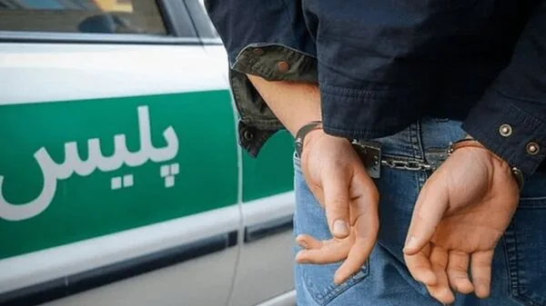 کشف۲۲ فقره سرقت از منازل و باغ ویلاها در طرقبه شاندیز