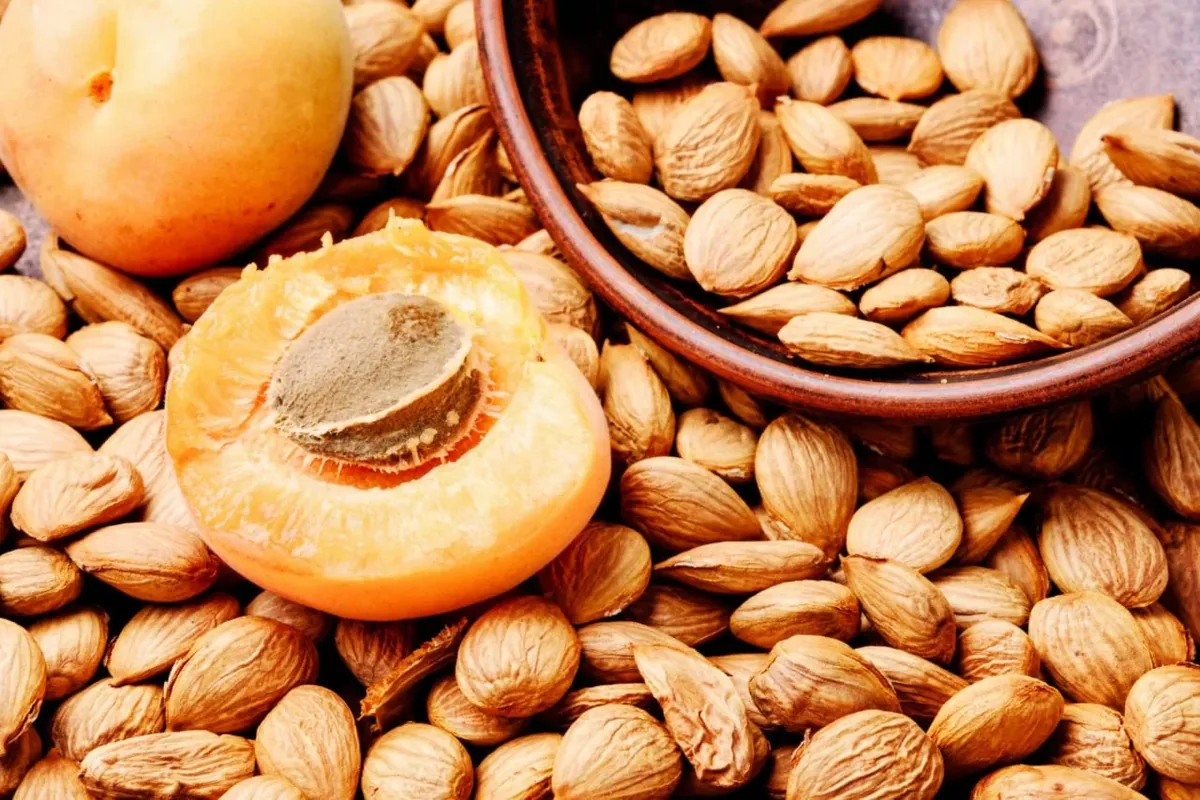 مغز هسته زردآلو؛ درمان سرطان یا خطری پنهان؟