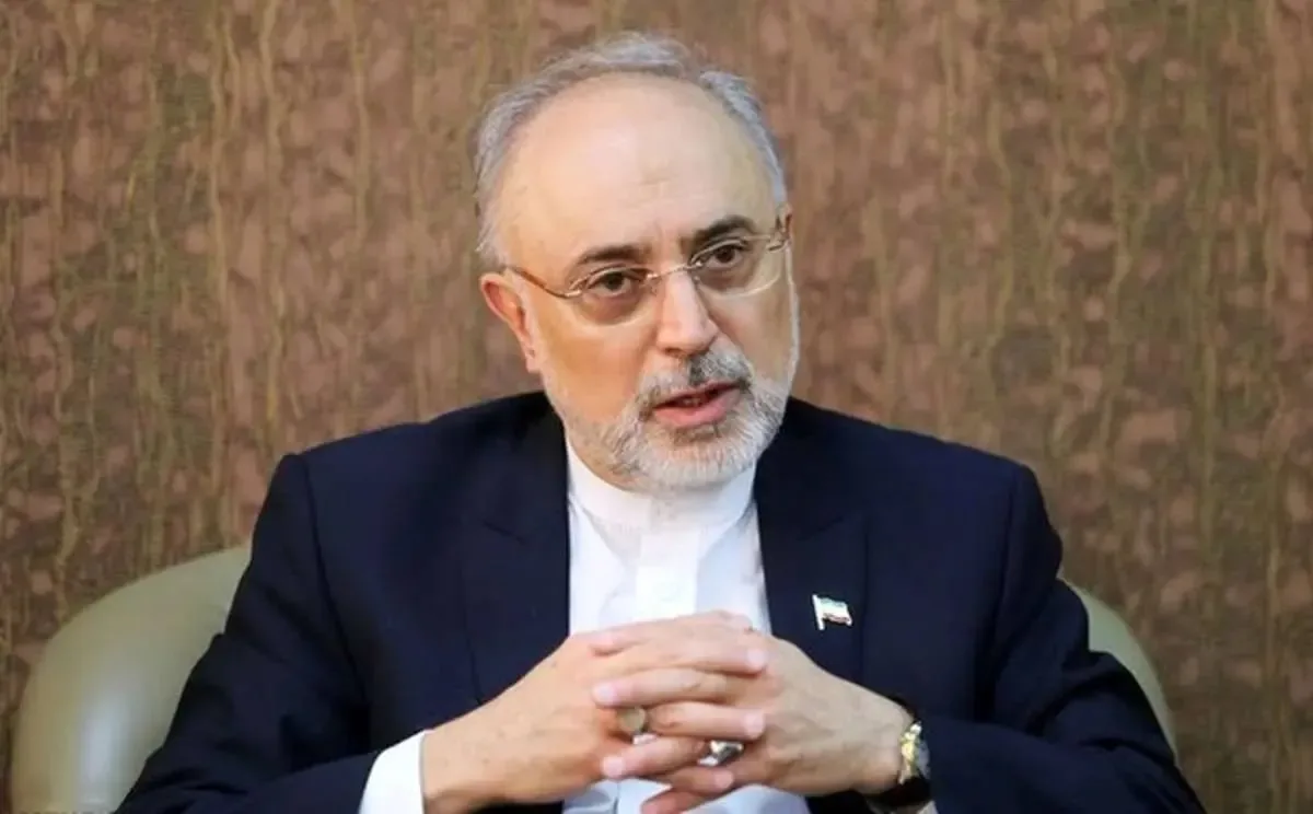 پیشبینی علیاکبر صالحی از جنگ: بعید است جنگ سوم آغاز شود