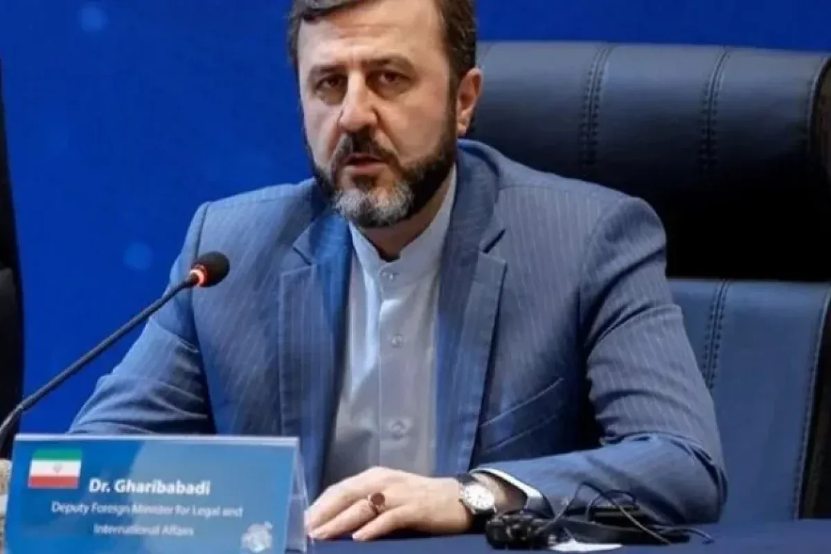 غریبآبادی: کاهش سطح آب، مهمترین معضل زیستمحیطی دریای خزر است