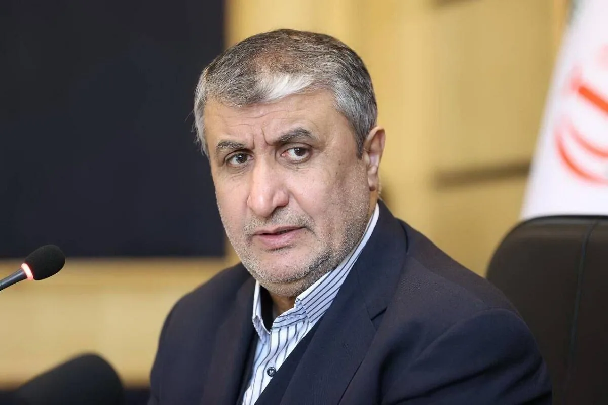 پیام تبریک رییس سازمان انرژی اتمی ایران به وزیر جدید دفاع