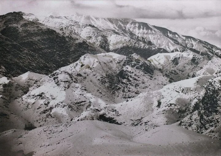 اثر ۲۵۰ میلیاردی پرویز تناولی در صدر حراج تهران