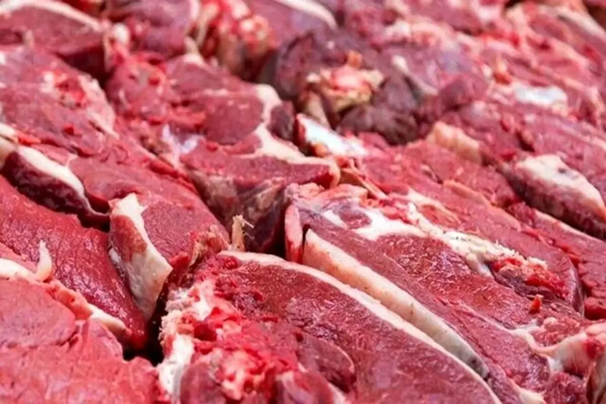 رئیس شورای تأمین دام کشور: قیمت گوشت دستکاری شده یا به عبارتی، قیمتسازی شده
