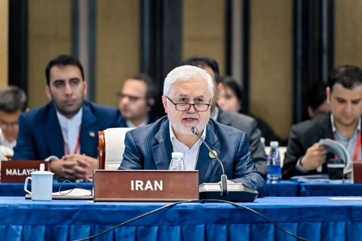 ضرورت ایجاد سازوکار آسیایی حفاظت از میراث در بحران