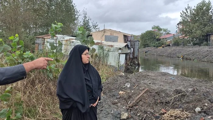 لایروبی و جمع‌آوری سنبل آبی از شنبه بازار روگا انزلی| فیلم