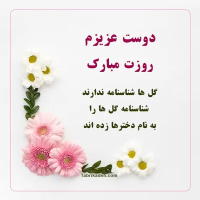 جدیدترین متن تبریک روز دختر به رفیق و دوست صمیمی + عکس روز دختر مبارک دوستم  - تبریکده