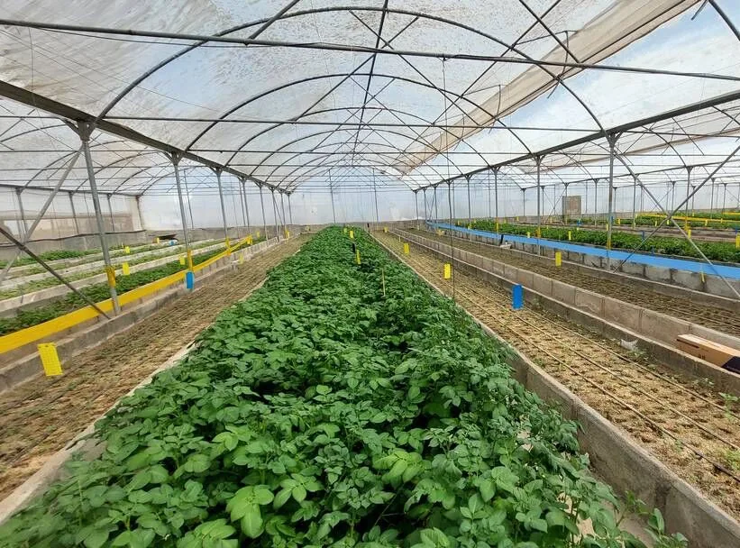 افزون بر ۳۶۹ میلیارد تومان برای توسعه زیرساختهای کشاورزی مازندران تخصیص یافت
