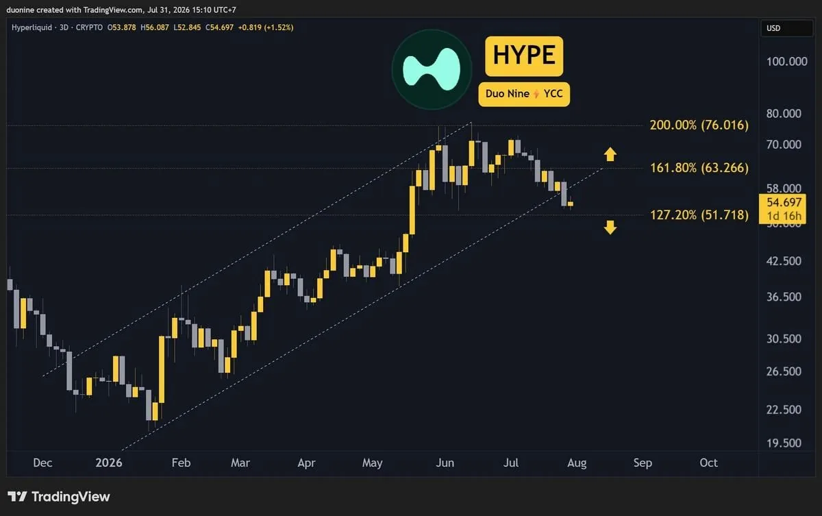 Hyperliquid HYPE Price Correction