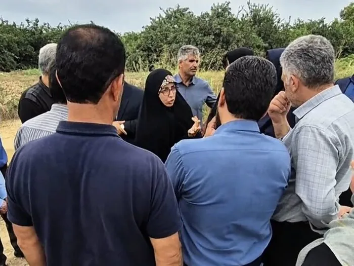 نوسازی اراضی شالیزاری سورک آغاز شد