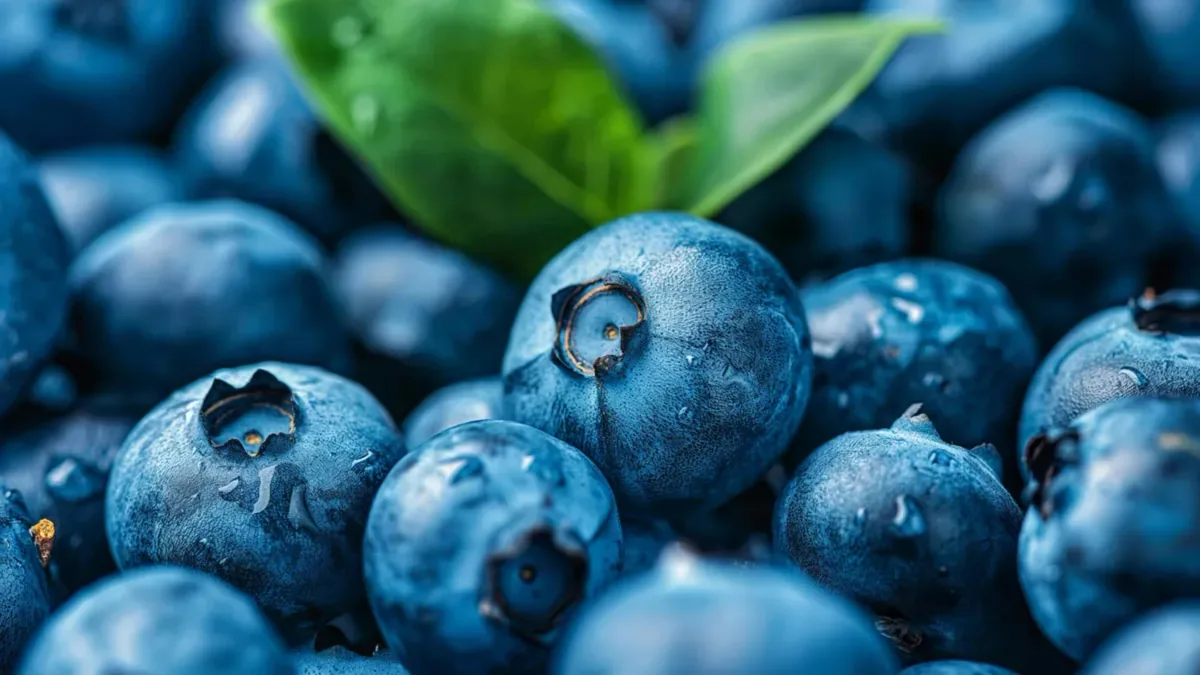 آیا خوردن روزانه بلوبری میتواند خلقوخو را بهتر کند؟ نتیجه یک مطالعه کوچک امیدوارکننده است