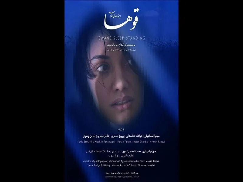 «قوها ایستاده میخوابند» در جشنواره تهران؛ «هوران» در آپارات