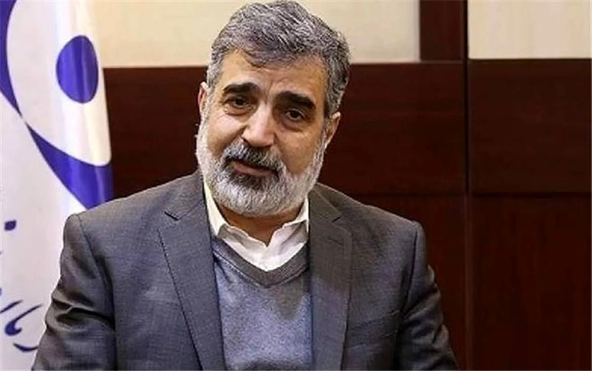 کمالوندی: پروتکل ساخت راکتورهای کوچک با روسیه در حال نهاییشدن است