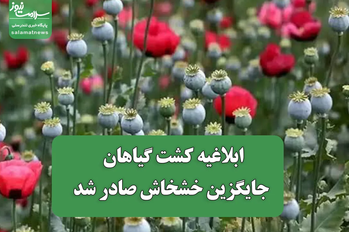 ابلاغیه کشت گیاهان جایگزین خشخاش صادر شد