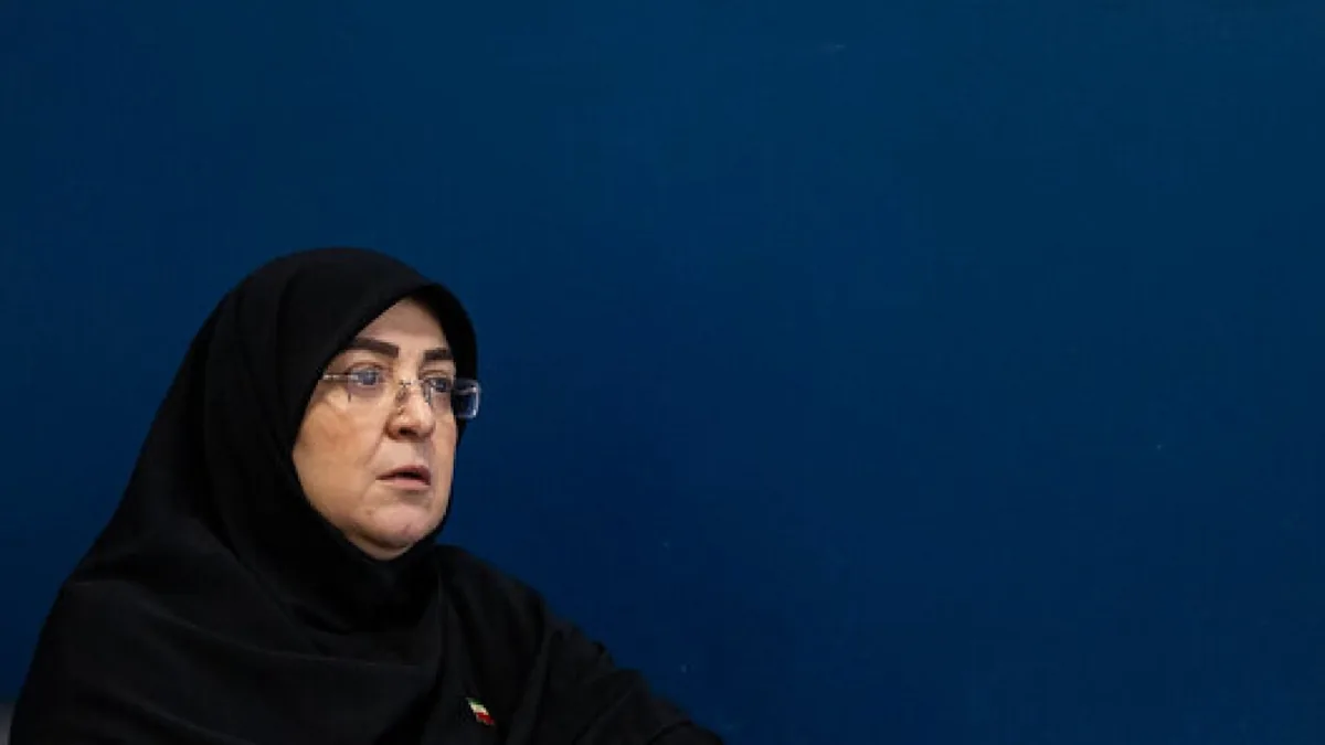 سخنگوی دولت: تحریف تاریخ نمیتواند از شکوه ملت ایران بکاهد