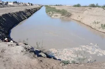 فیلم| سیلاب به تالاب‌های بین‌المللی گنبدکاووس جان تازه داد
