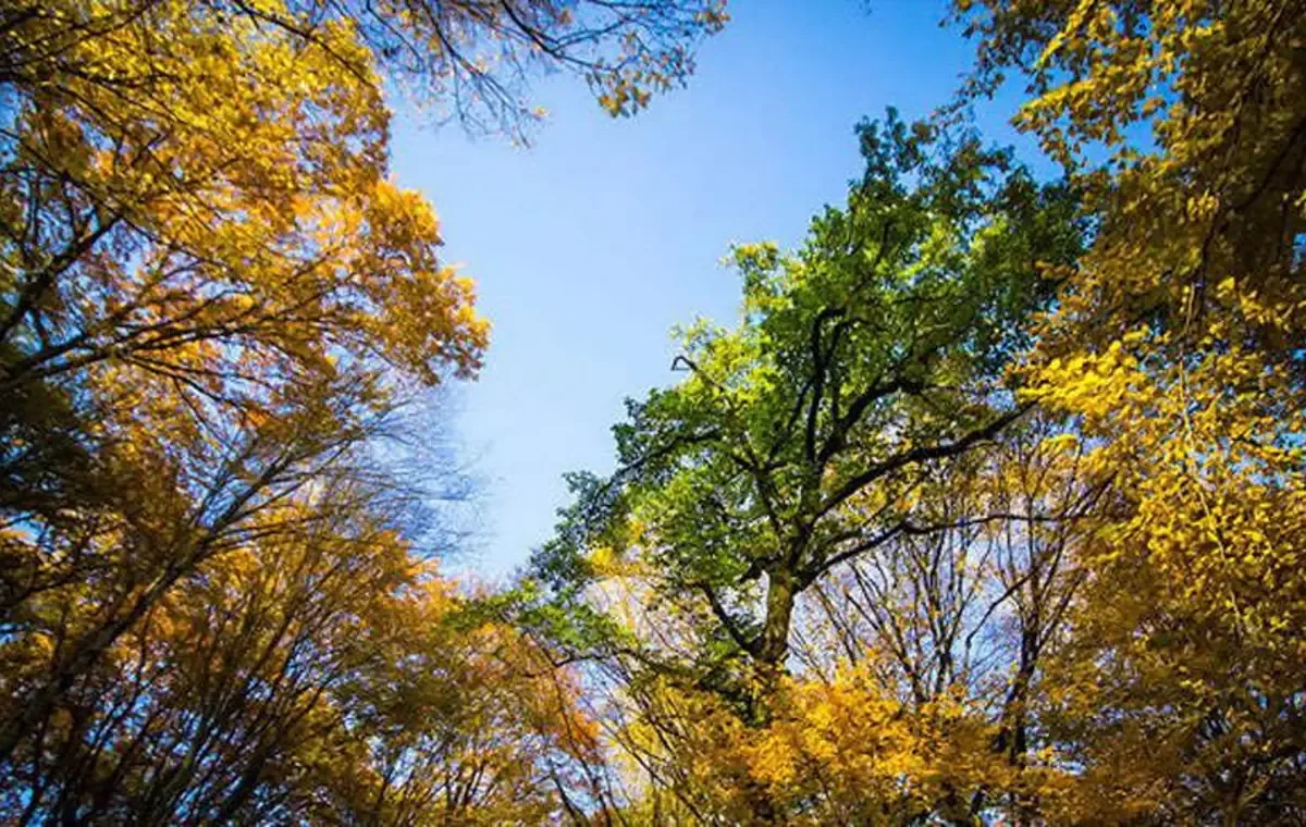 بهترین زمان سفر؛ النگدره در فصل‌های مختلف